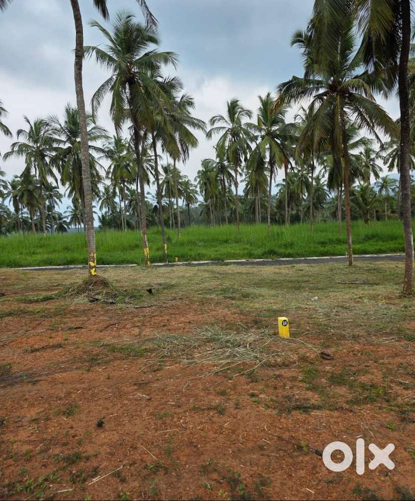 8 cent land for sale in Mannarkkad, Palakkad