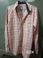 Pink Shirt