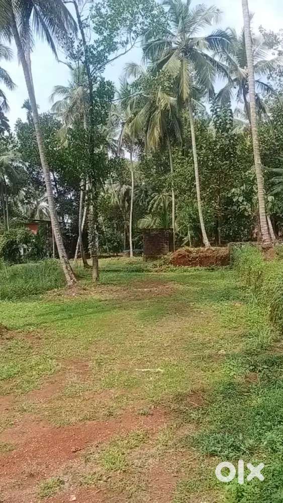 20 cent commercial plot for sale