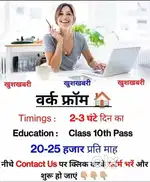 Work from home job- Daily income
