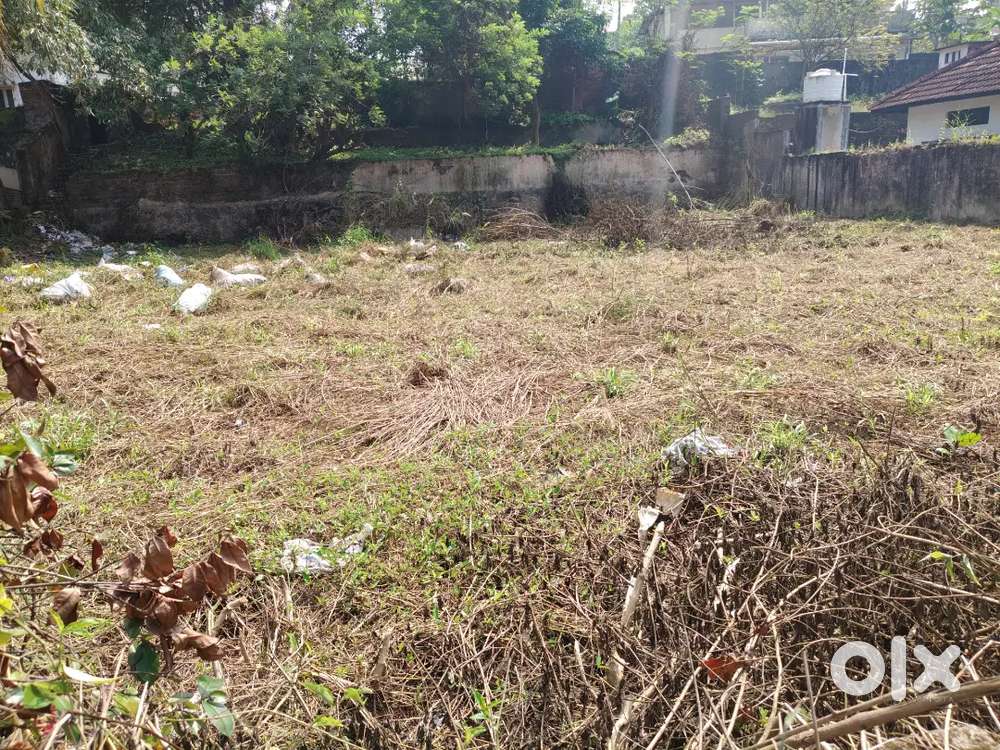 കൊല്ലം നെല്ലുമുക്ക് മണലി അമ്പലത്തിന് സമീപം  പ്ലോട്ടുകൾ വിൽപ്പനയ്ക്ക്