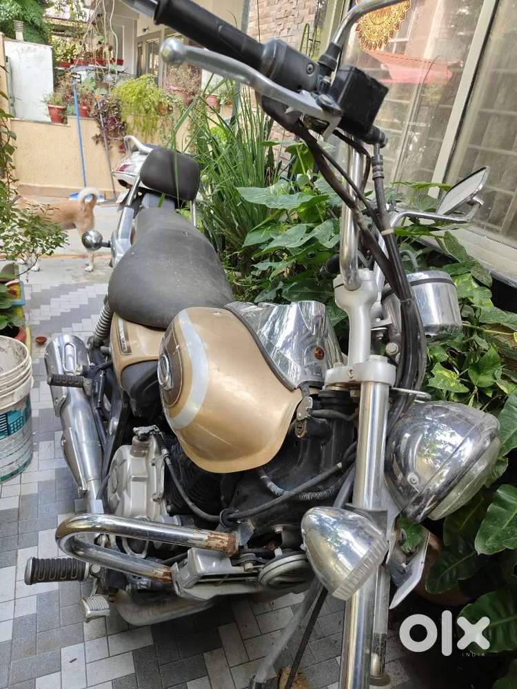 Bajaj Avenger 220 CC Cruiser Motorcycle Golden Colour in Bhopal