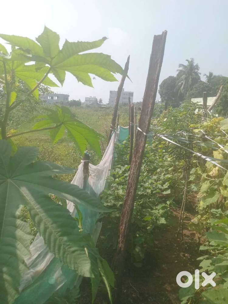 DTCP LAYOUT PLOT FOR SALE AT THIMMAPURAMAM KAKINADA