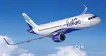 Indigo Airlines Urgent Hiring For Ground Staff Jobs Vacancy Available.