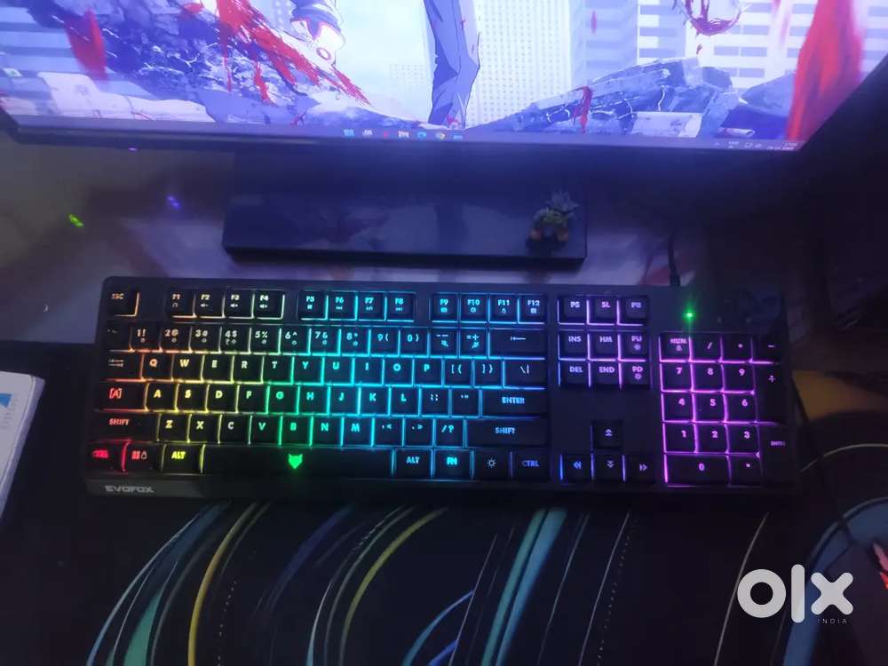 (EvoFox) Wired RGB Gaming Keyboard