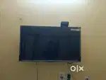 Telivision