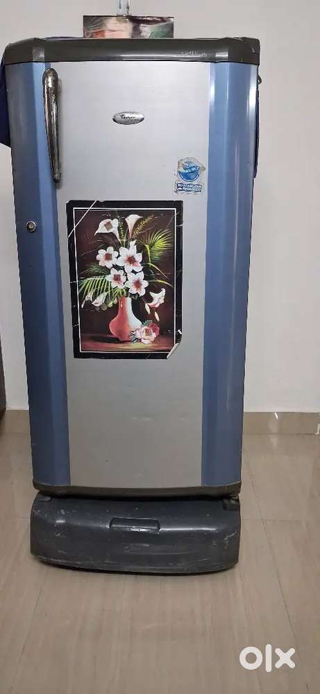Whirlpool  Refrigerator
