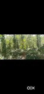 Agricultural Land for sale