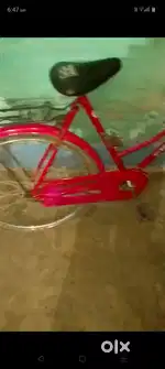 Ladies cycle