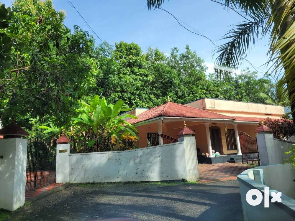 House for sale at Muthamkuzhy Kothamangalam Ready to move in