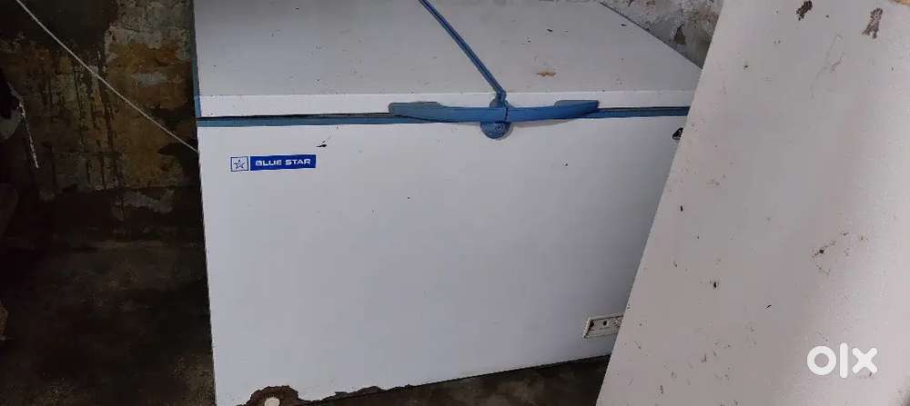 D freezer 2 year
