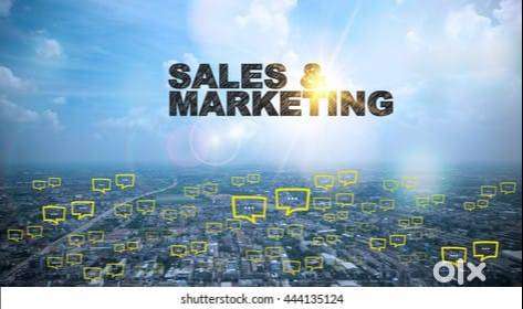 SALES AND MARKETING EXECUTIVE