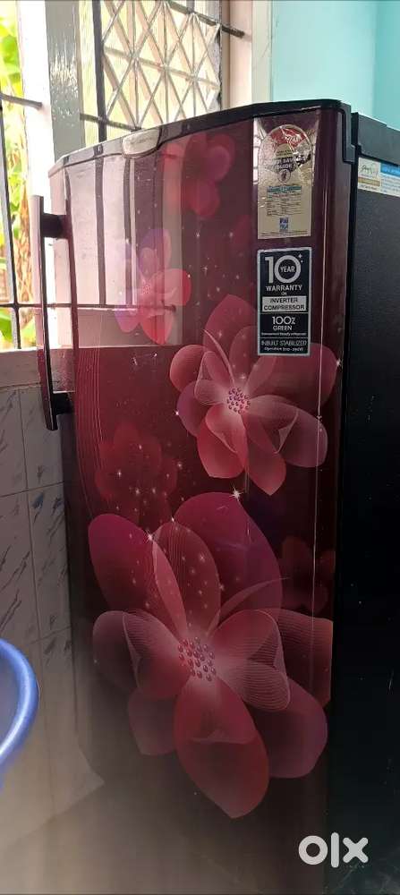 Godrej fridge Edge pro