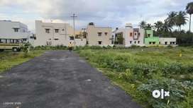 500+ Family occupied in our project - Vadamadurai
