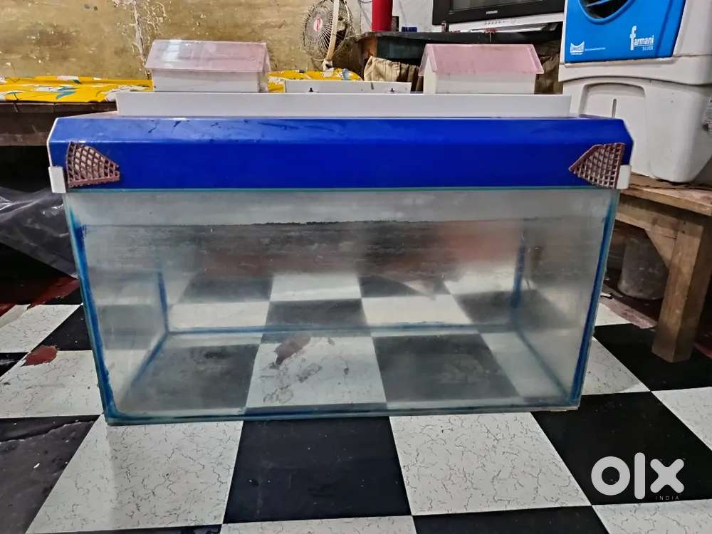 Aqurium for home