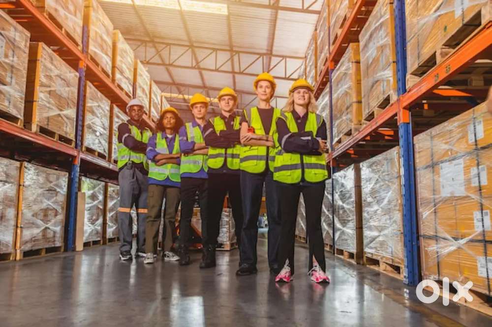 LOOKING FOR FRESHERS AND EXPERIENCE FOR WAREHOUSE COMPANY