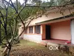 House with 33 cent land