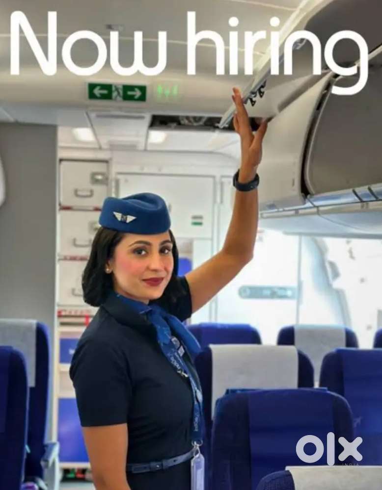 We are hiring freshers candidates apply fast