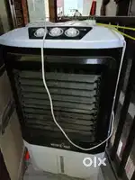 1 year old Cooler