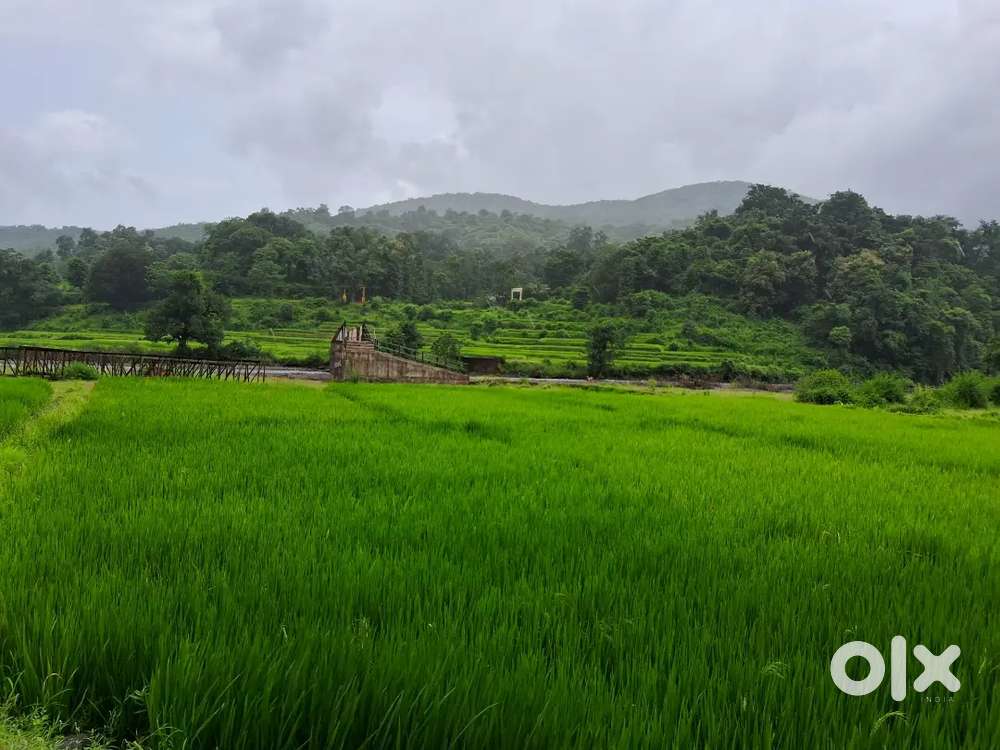 Plot of land for village house/bunglow in a scenic location