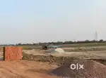 Sale fir plots