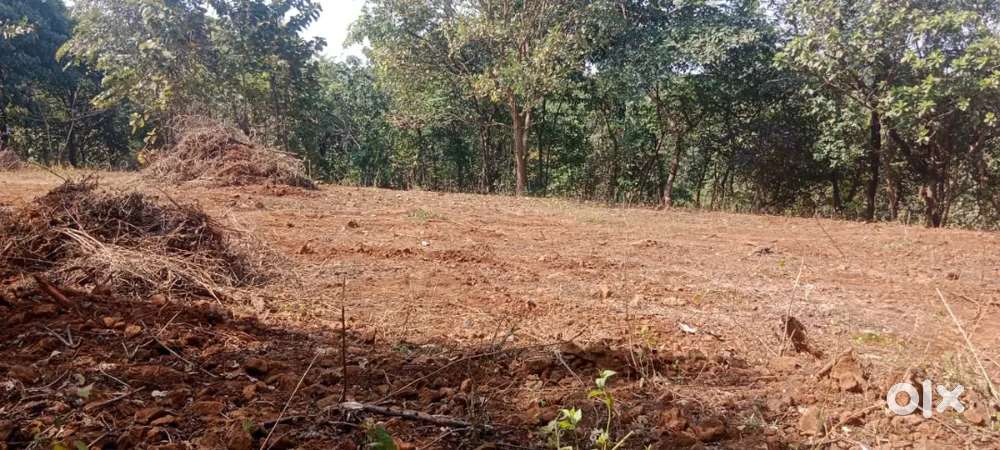 1/2 Acre Bungalow plot @160 Rs per sqft