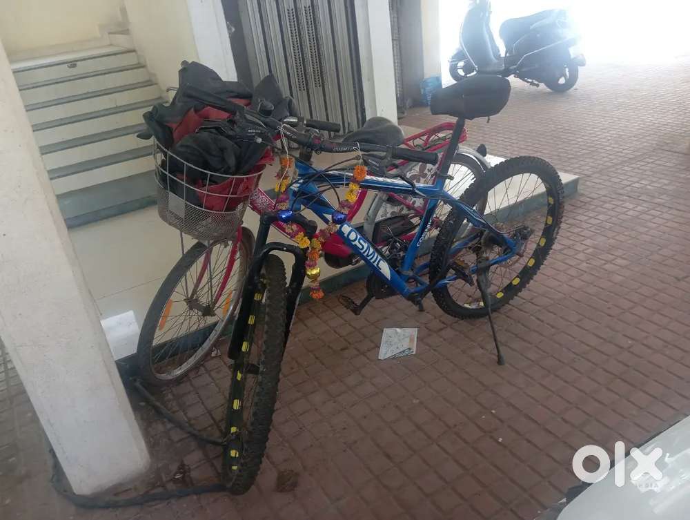 COSMIC FATSO 27.4 USA imported cycle