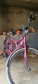 Hero Cyclone cycle, Strong body