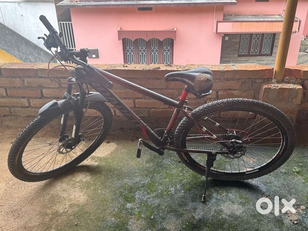Rodeo cycle , used