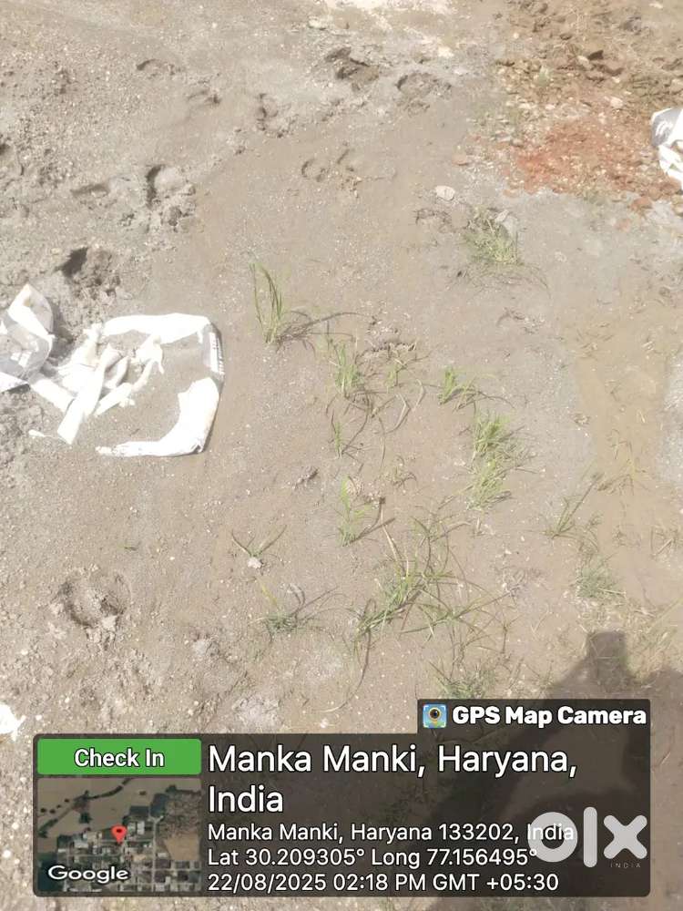 165gaj plot for sell