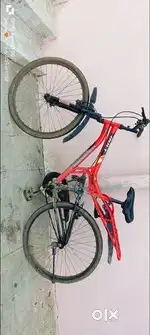 Spring cycle