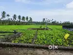 agriculture land for sale