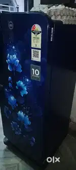 Sinhal dor fridge