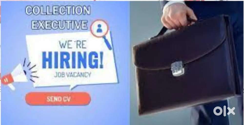 EXECUTIVE FOR COLLECTION