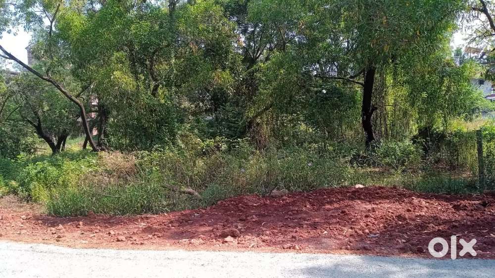 490sqmt plot in navelim Check my description for multiple property