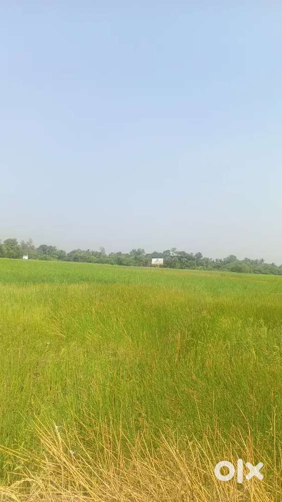 Plotted Land Available for sale near Sonarpur Garden High school
