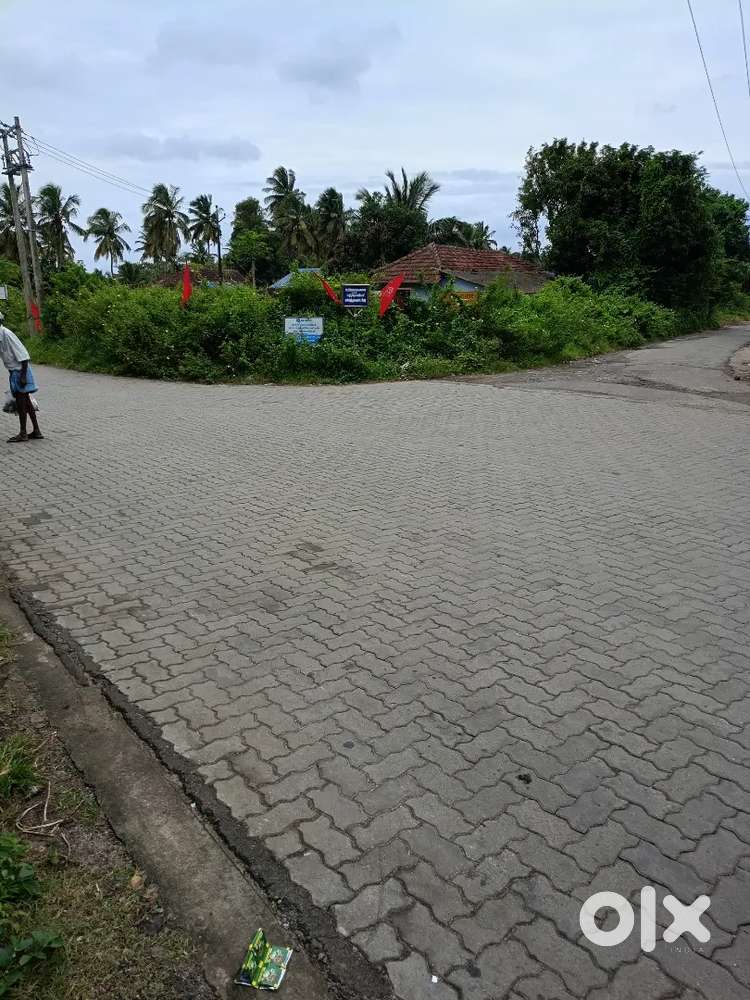86 cent plot for sale