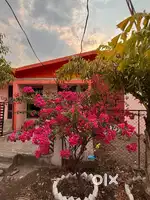 Balaji jungle resort