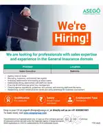 SALES EXECUTIVE