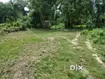 Land for sale(1 Katha  5 Lesha. Total 21 Lakh) Raha.Nagaon