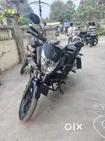 Unicorn bs6