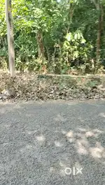 45 സെന്റ് വില്പനക്ക്