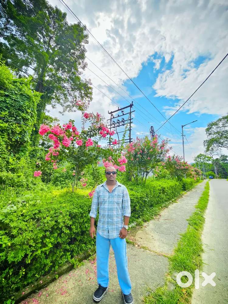 Tution  Classes for class 1st to 8th .