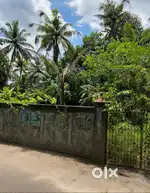 East Facing House Plot - Muttom, Kanichanalloor, Haripad, Mavelikara