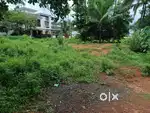 Commercial Land For Sale in Mattannur  villa plots for sale in kannur