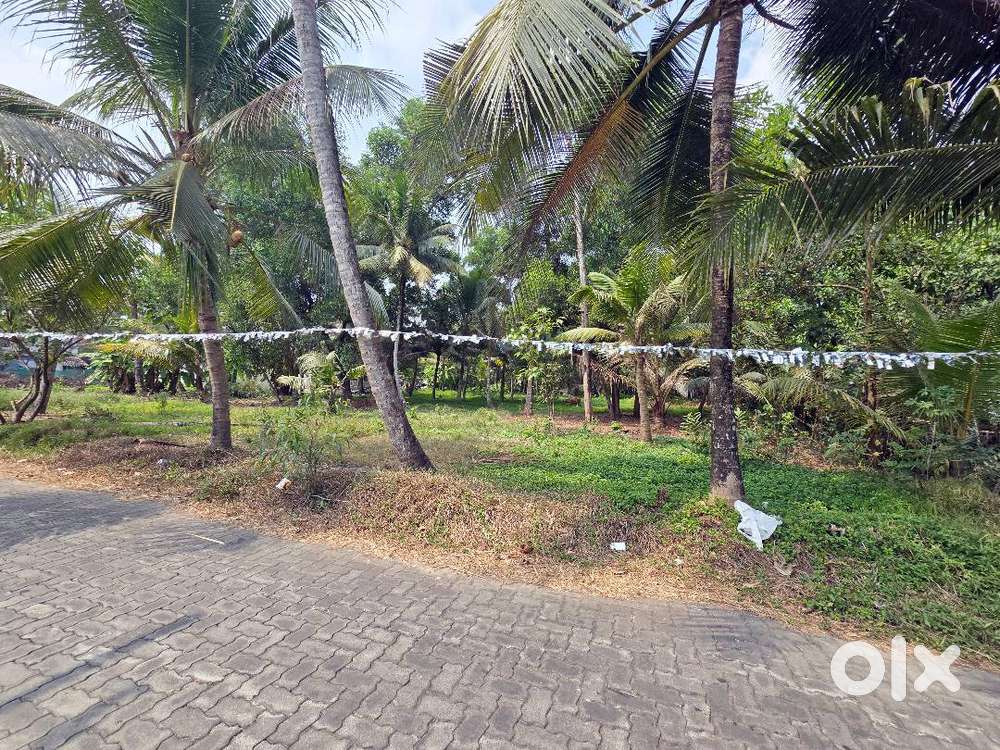 Residential Plots for Sale Varapuzha Near Edappally
