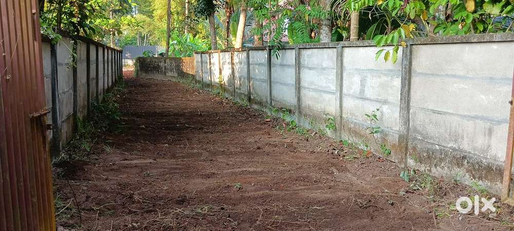 RESIDENTIAL PLOT NEAR CHENNITHALA