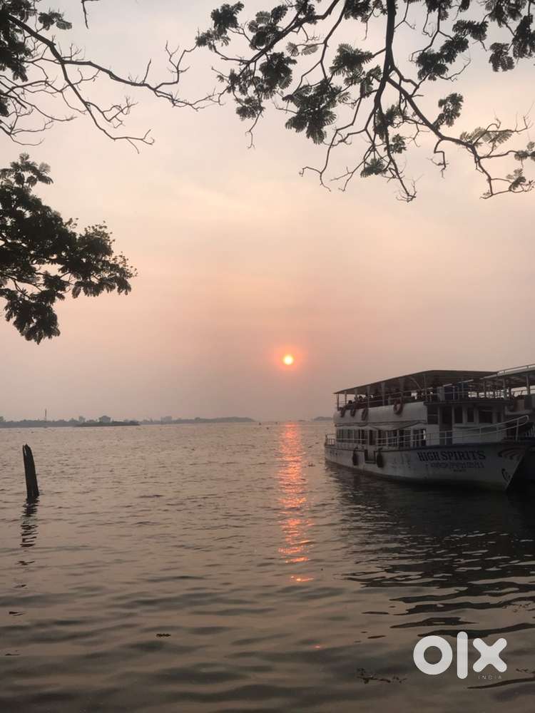 I am a chiness and north indian chef