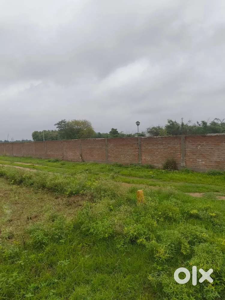 IIT college se 6 km aage hai patu k pass best hai investment plot hai