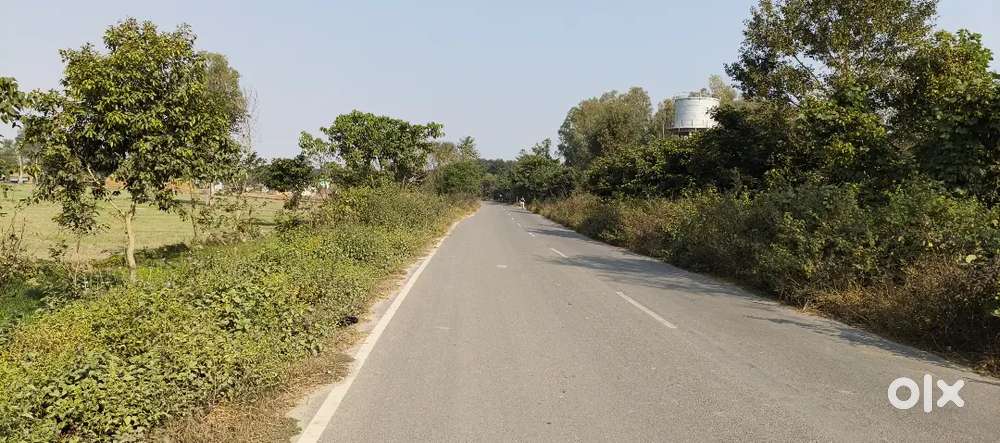 Pilibhit tiger reserve khatima rod puranpur up